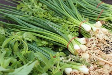 spring onion at market