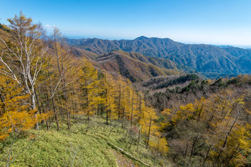 Mountain view in autumn season at Hangetsuyama observation park, Nikko, Japan.