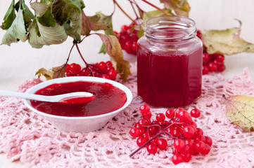 Still life: a jar of jelly from the viburnum