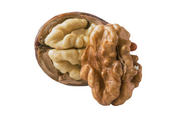 two young peeled fresh walnuts