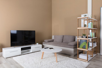 Apartment With Television And Sofa