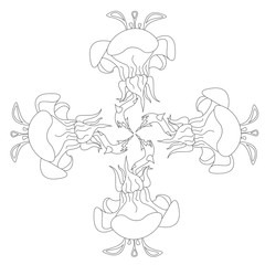 Fantasy flower illustration set on white