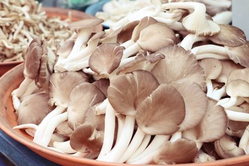 fresh mushrooms at market