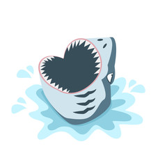 shark with open mouth