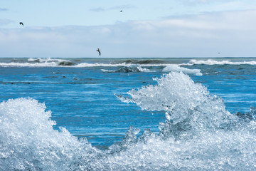 Fototapeta premium The beach in Jokulsarlon