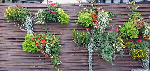 Fototapeta premium Wooden fence with flowerpots and blossoming plants