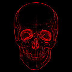 Illusion. Electro skull. Hand-drawn style.