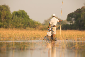 Moroko at Okavango Delta