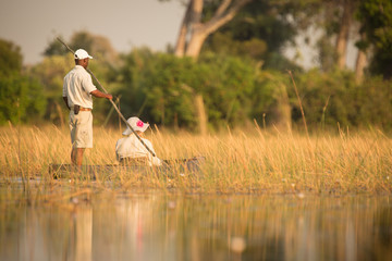 Moroko at Okavango Delta