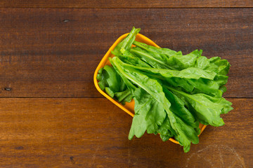 chinese gai choi