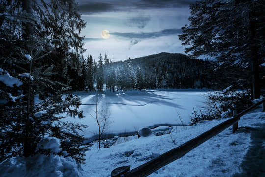 spruce forest on winter night in full moon light. lovely nature scenery in mountains