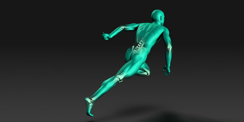 Fototapeta na wymiar Medical Illustration of Human Body and Bones