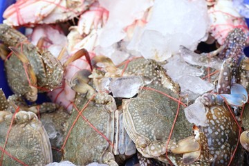 Fresh crab at street food