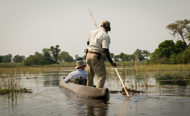 Moroko at Okavango Delta