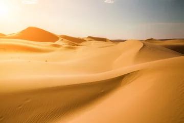 Zelfklevend Fotobehang Beautiful sunset in the Sahara desert © Anton Petrus