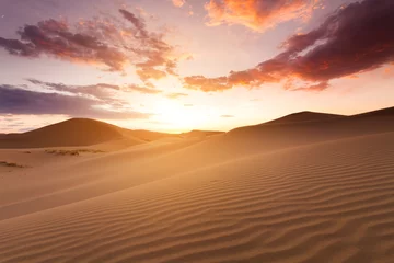 Foto auf Acrylglas Wunderschöner Sonnenuntergang in der Wüste Sahara © Anton Petrus