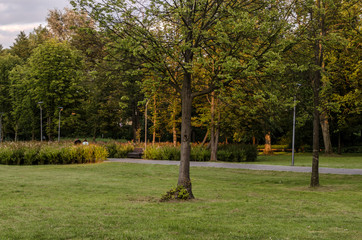 park  © wedrownik52