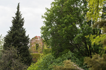 Walk through woods and vineyards