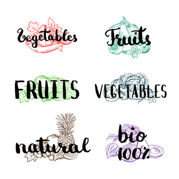 Vector doodle handdrawn colored piles of fruits and vegetables with vegan, organic, natural lettering