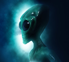 Portrait of an alien in dark background. 3D illustration © solvod