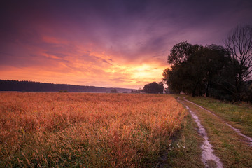 Rural autumn landscape, early morning, dirt road along the field