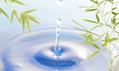 Water drops and bamboo leaves.