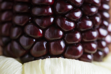 Fresh purple corn close up
