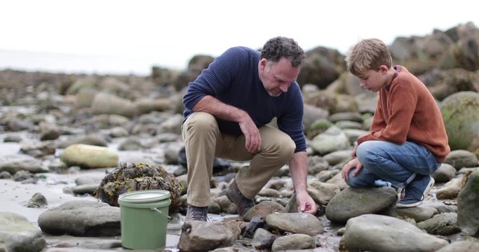 Father and Son looking at shells in rockpool on beach