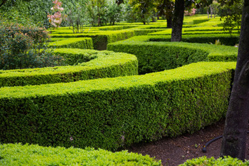 French formal garden  of  Casa del Chapiz.  Granada