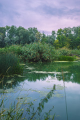 Calm river in the summer morning with green trees on background. Toned, style photo.