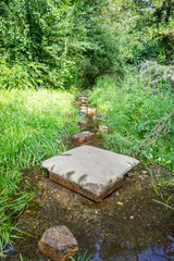 Flooded path in the summer. The concept of daily obstacles. Overcoming a difficult path to achieve the intended goal. Difficulties on the way to success.