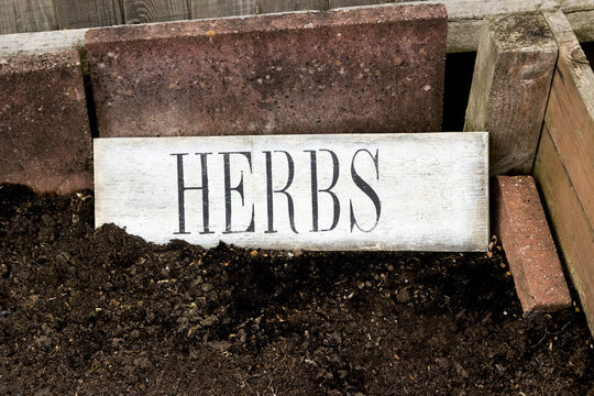 Empty herb garden with herbs sign