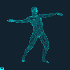 3D Model of Man. Human Body Wire Model. Design Element. Technology Vector Illustration.