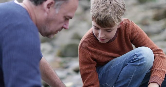 Father and Son looking at shells in rockpool on beach