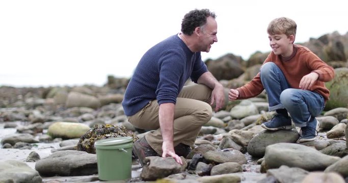 Father and Son looking at shells in rockpool on beach