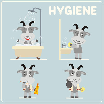 Set of funny goat is hygiene: showering, washing hands, brushing her teeth. Collection of isolated goat in cartoon style for rules of child hygiene.