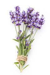Obraz premium Lavender flowers.