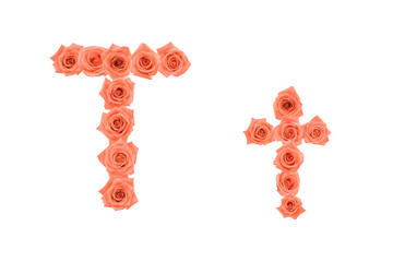 Letter T, alphabet made from orange roses isolated on white background