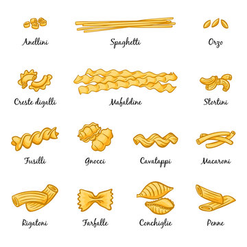 Macaroni, spaghetti and others type of italian pasta. Vector pictures isolate on white