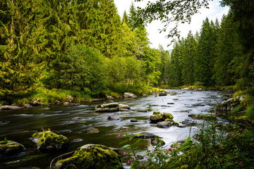 Bayerisch Kanada mit Fluss und Steinen im Bayerischen Wald