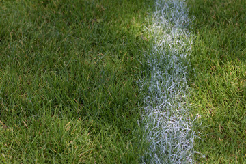 white painted line in grass on sports field