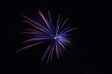 silvester firework