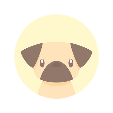 Pug icon vector
