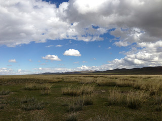 Countryside landscape