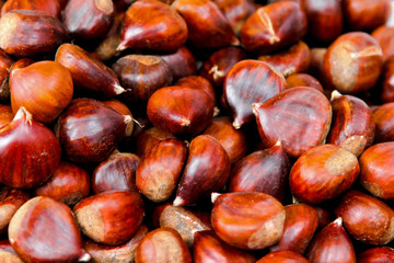 Obraz premium Chestnuts maroons