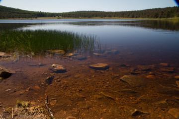 Lake view