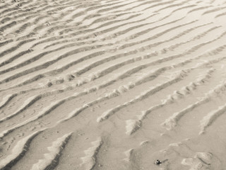 water and sand long the shoreline of an Italian beach