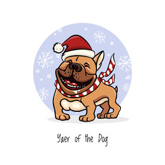 cheerful illustration, english bulldog wearing new year clouth, laughs funny, 2018 year of the dog