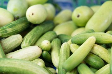 Cucumbers sale