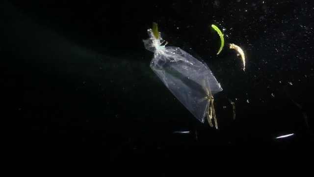 Plastic bag floating underwater at night 